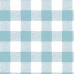 A seamless pattern of blue and white gingham checks, featuring evenly spaced squares arranged in a grid. The pattern has a classic, textured look, commonly found on fabrics like tablecloths and shirts.