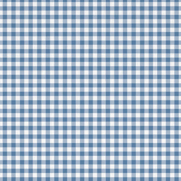 A seamless pattern of a blue and white gingham checkered fabric. The repeating squares create a classic and timeless design, with evenly spaced lines crossing horizontally and vertically, forming a grid of alternating blue and white squares.