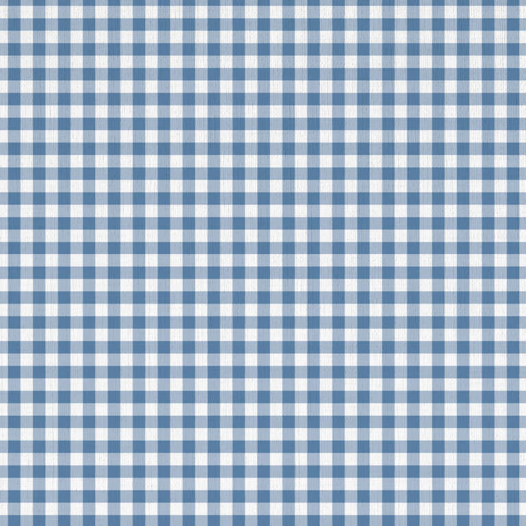 A seamless pattern of a blue and white gingham checkered fabric. The repeating squares create a classic and timeless design, with evenly spaced lines crossing horizontally and vertically, forming a grid of alternating blue and white squares.