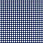 A pattern of alternating blue and white squares, creating a classic gingham design. The squares are evenly spaced and aligned in a grid format, giving the fabric a neat and structured appearance.