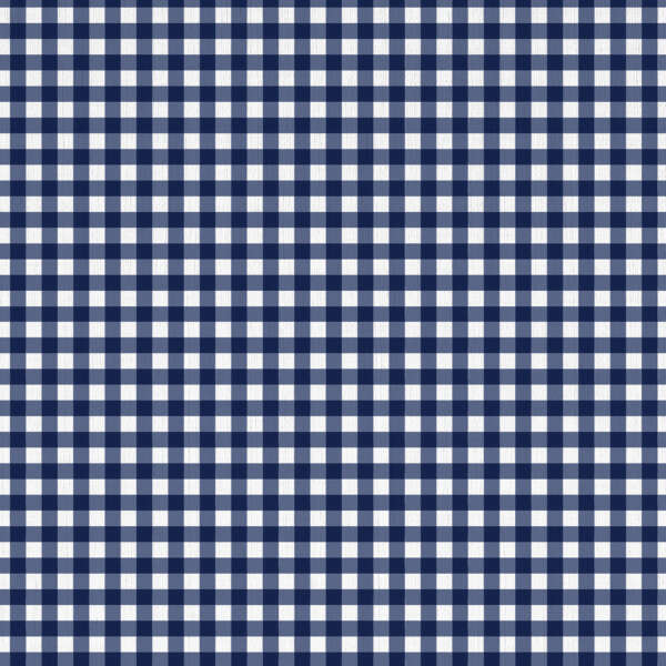 A pattern of alternating blue and white squares, creating a classic gingham design. The squares are evenly spaced and aligned in a grid format, giving the fabric a neat and structured appearance.