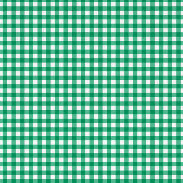 The image shows a green and white gingham pattern, consisting of interwoven horizontal and vertical lines that form a grid of equal-sized squares. The design alternates between green and white squares in a simple, classic arrangement.