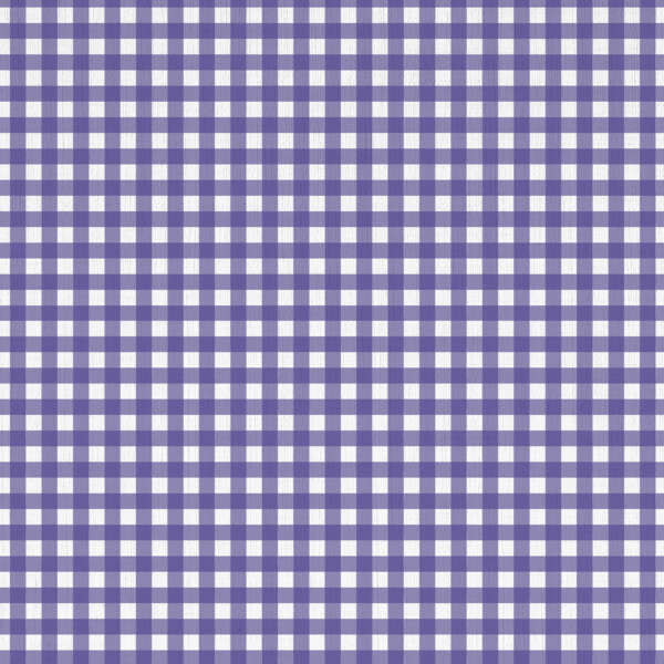 A seamless pattern of small blue and white checker squares arranged in a grid, creating a classic gingham design.