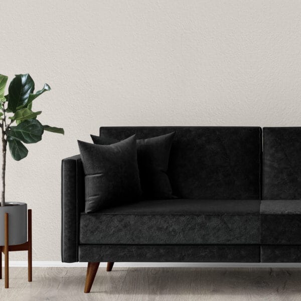 A modern black sofa with two cushions is positioned against a light beige wall. A potted plant with large green leaves stands beside it on a wooden floor, adding a touch of nature to the minimalist room decor.
