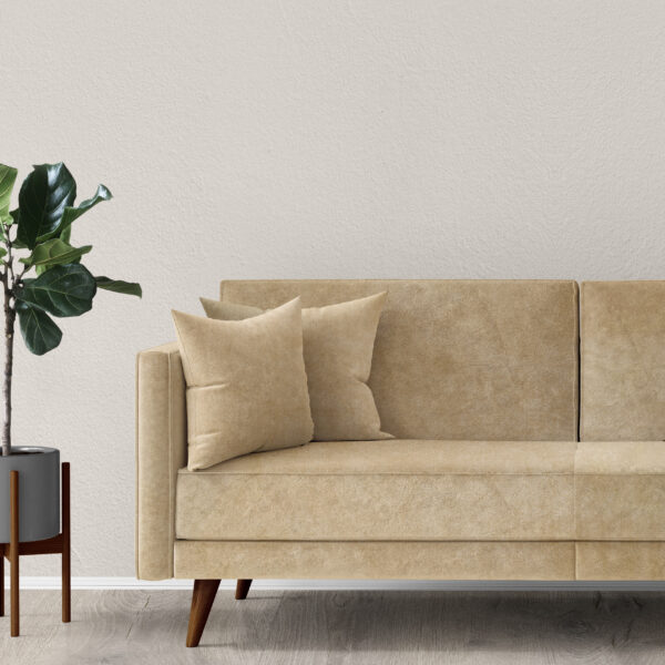 A minimalist living room featuring a beige sofa with two matching cushions on a wooden floor. A potted plant with broad leaves stands beside the sofa, placed in a gray pot. The background wall is painted in a light, neutral color.