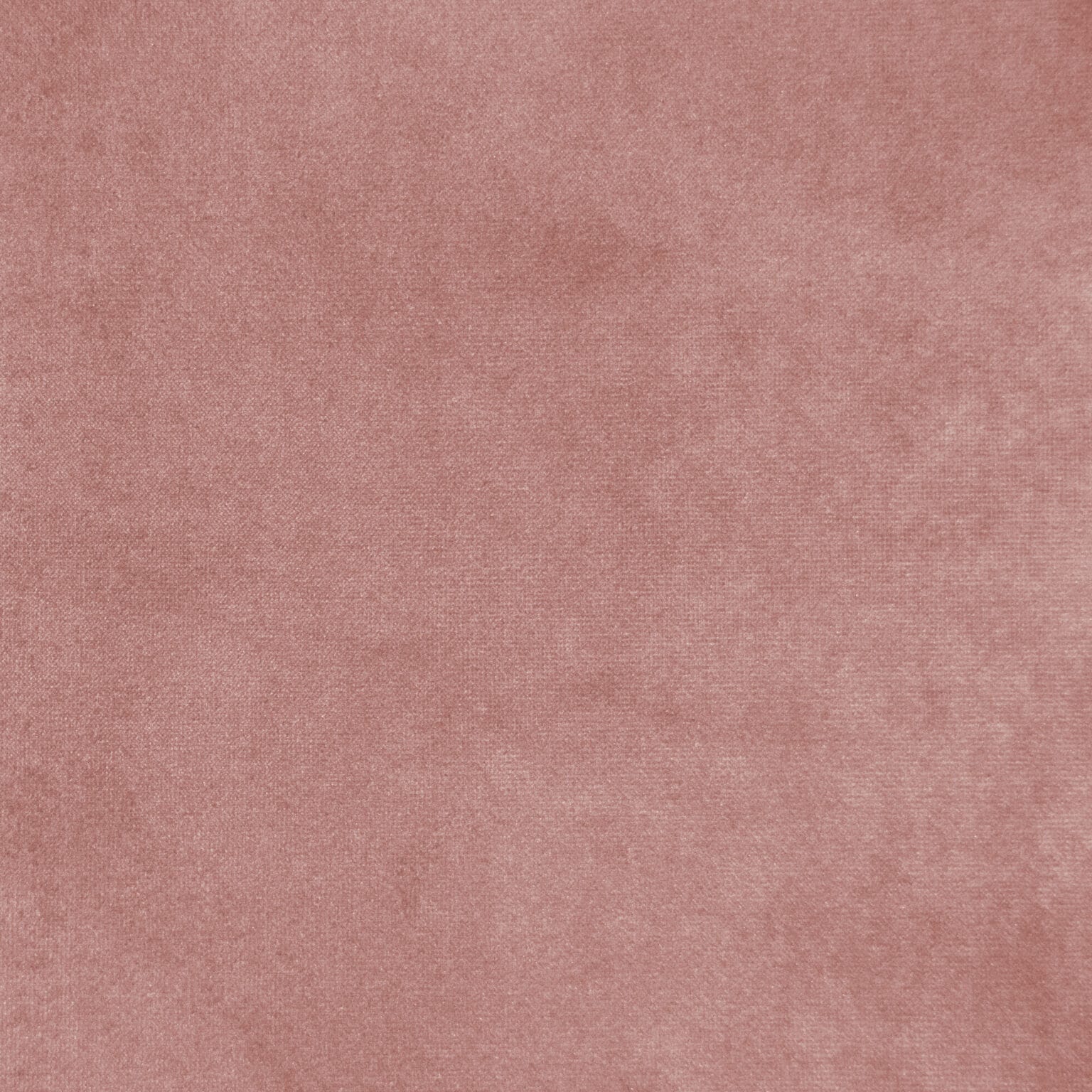 A close-up of soft, plush pink carpet with a smooth texture, filling the entire frame.