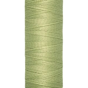 A spool of Gütermann sewing thread in light green sits upright. The thread is neatly wound on a beige spool, with label text indicating 100 meters and 110 yards.