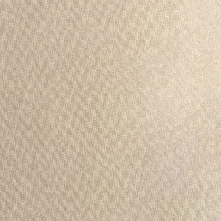 A close-up of a smooth, beige surface with a subtle texture. The lighting is even, highlighting the fine details and uniformity of the material.
