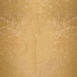 Close-up of a textured, light brown surface that resembles parchment paper or a sheet of pie dough, with subtle variations in color and a slightly mottled appearance.