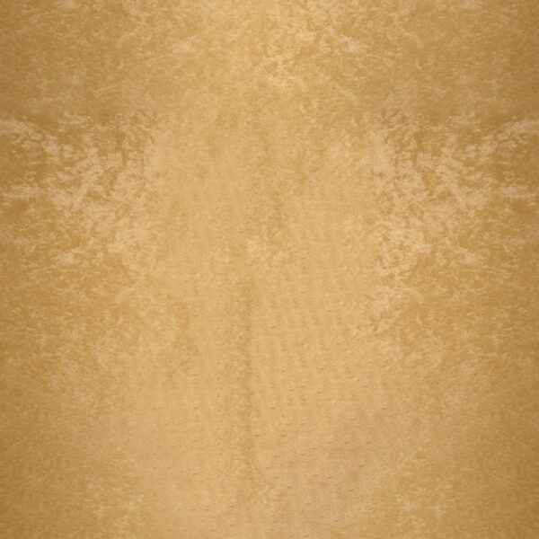 Close-up of a textured, light brown surface that resembles parchment paper or a sheet of pie dough, with subtle variations in color and a slightly mottled appearance.