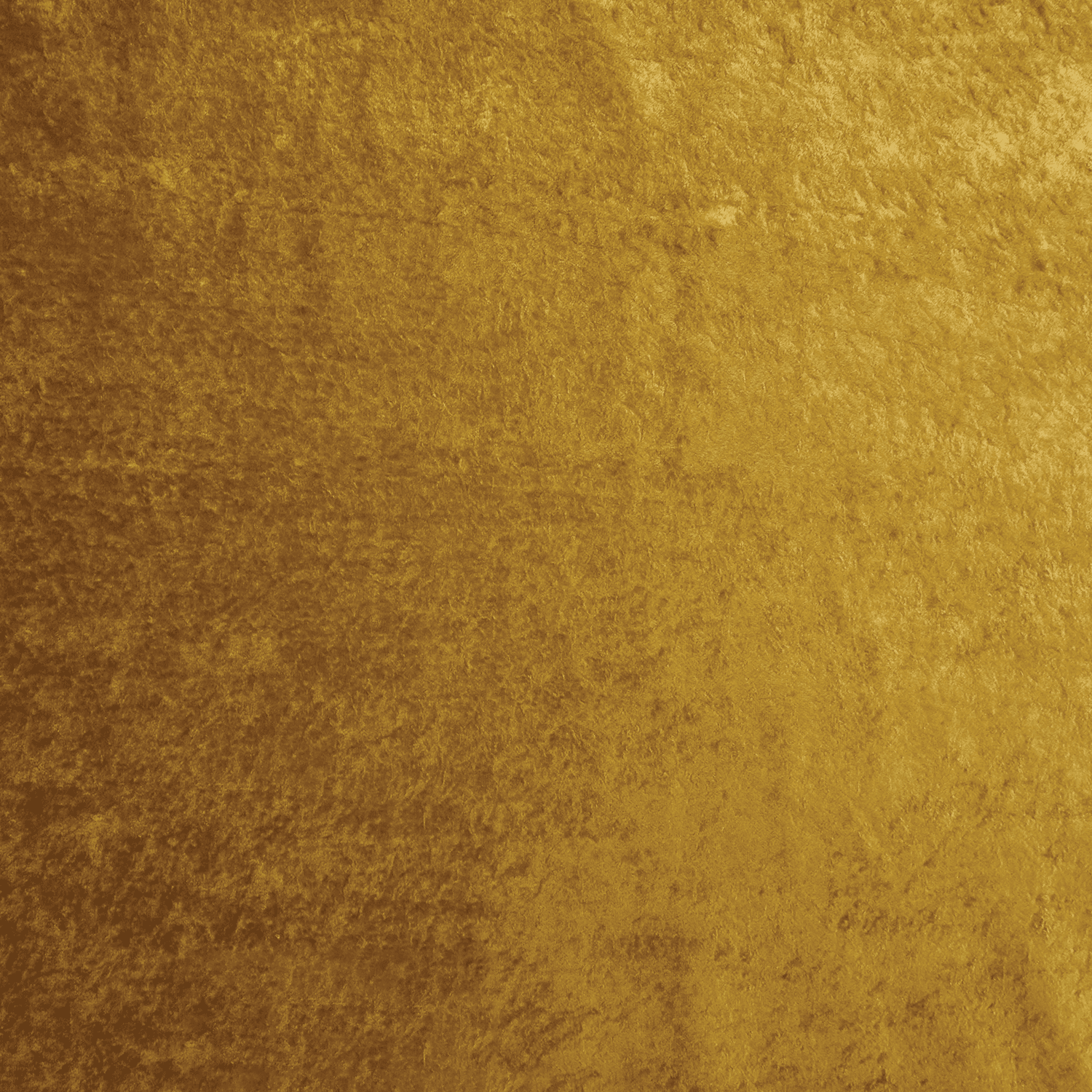 Carnival-Honey-2 A close-up of a gold velvet fabric with a soft, slightly textured surface and a rich, shimmering appearance.