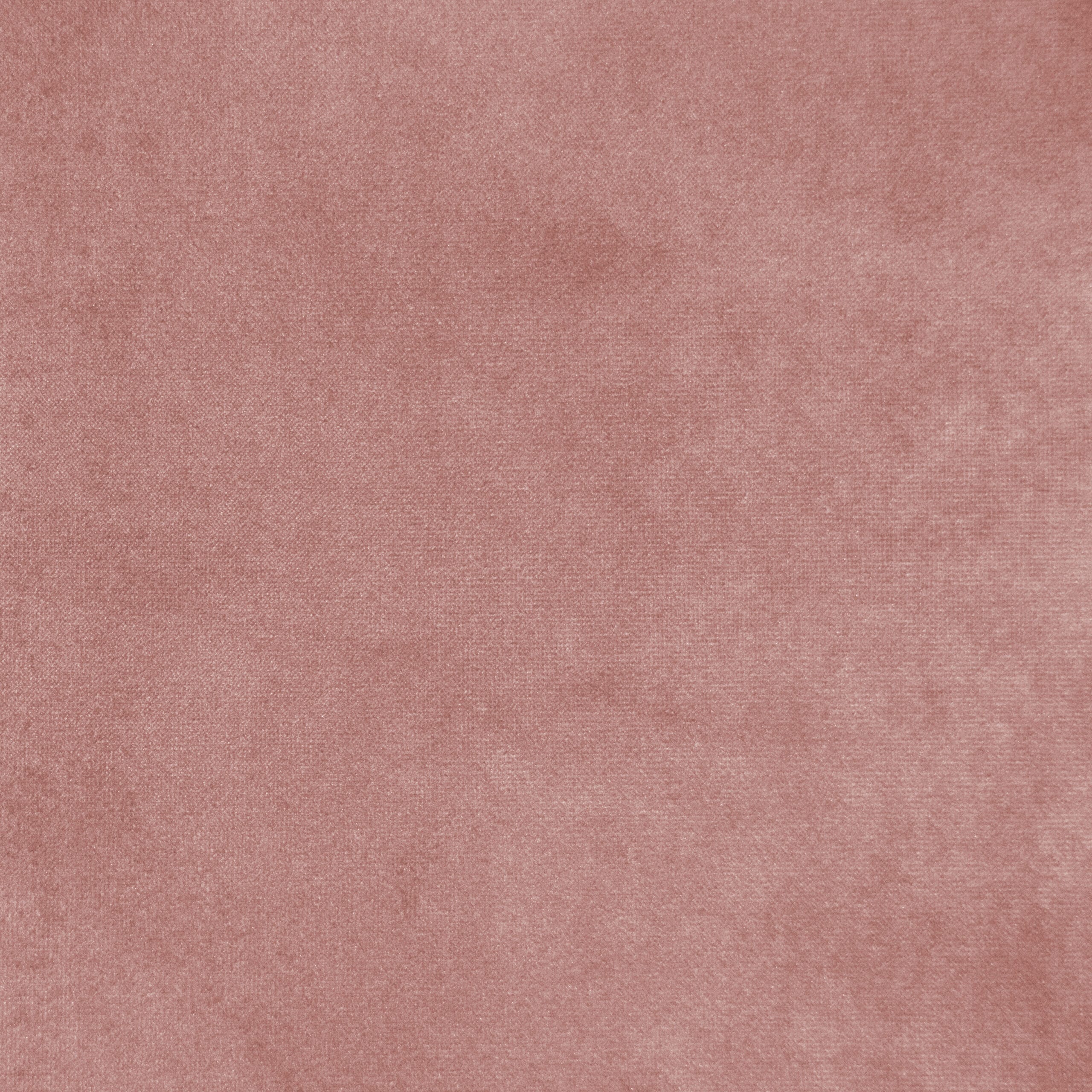 super-velvet-english-rose-scaled-1.jpg Plush Super Velvet Fabric | 60" Extra Wide | Curtains & Soft Furnishings - Image 1